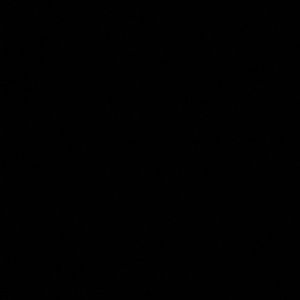 Meet your Posher, Quan